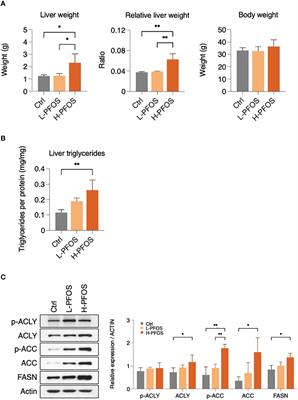 PFOS-elicited metabolic perturbation in liver and fatty acid metabolites in testis of adult mice